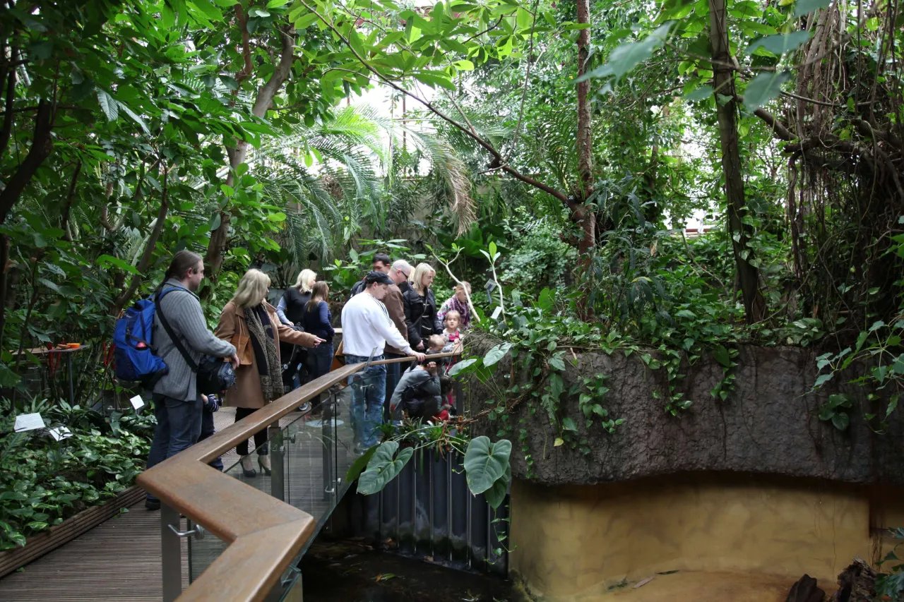 아쿠아주 뢰베커 박물관 뒤셀도르프 (아쿠아초 뢰베커 무제움 뒤셀도르프)